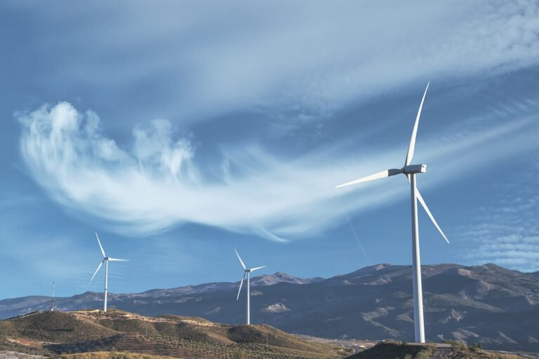 Understanding Wind Load and Building Codes for Garage Doors: A State-by-State Guide