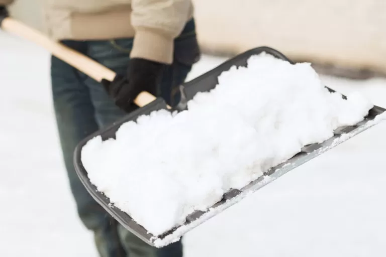 Keep Your Driveway Clear This Winter