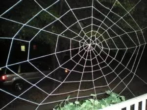 Spider Web Garage Door Image